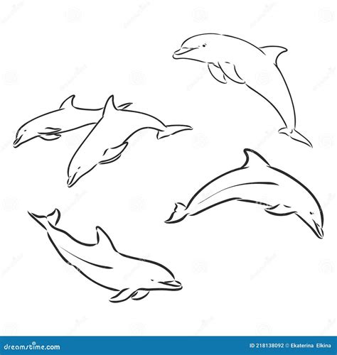 dolphins lines